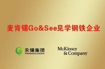 麦肯锡 Go&See 见学钢铁企业